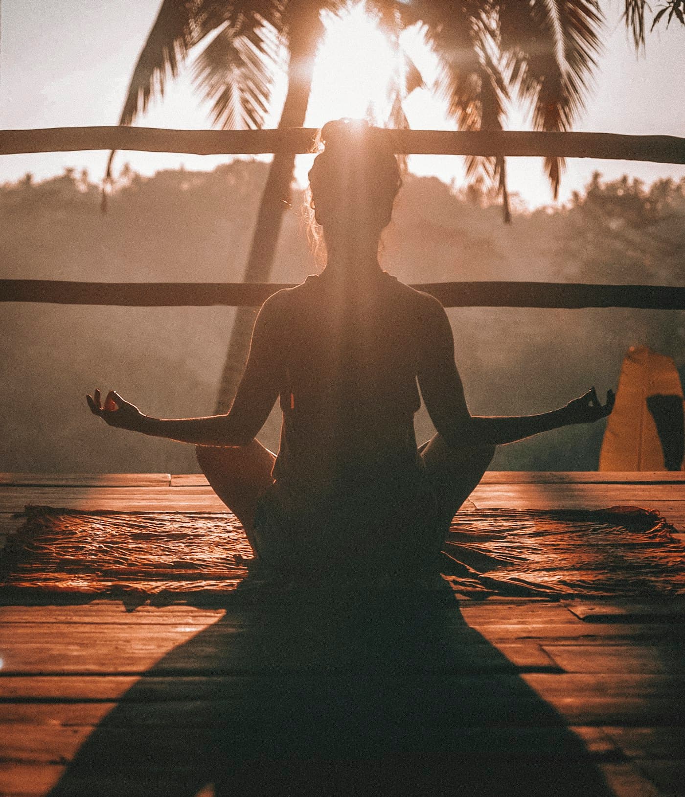 Body Intelligence